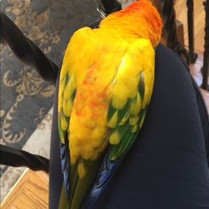 Meet your Posher, Ingrid